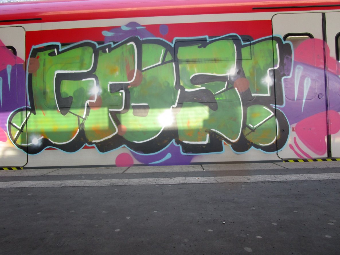 Graffiti Train - Photo by gartenzwerg - gfos