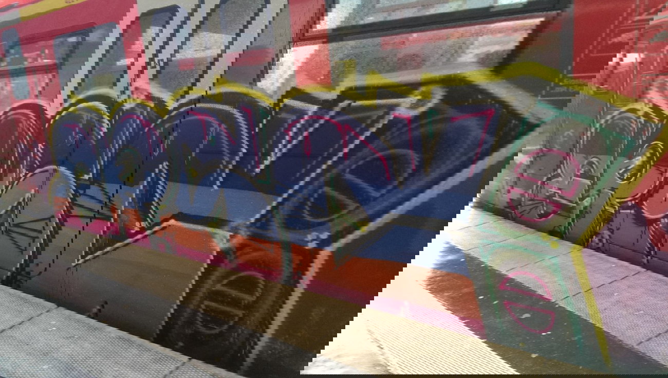 Graffiti Train - Photo by gartenzwerg - epsc