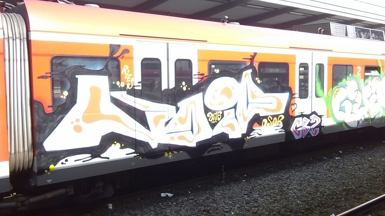 Graffiti Train - Photo by gartenzwerg - void