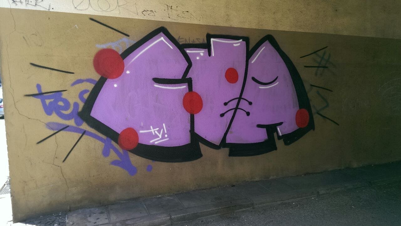 Graffiti Bombing - Photo by gartenzwerg - cva