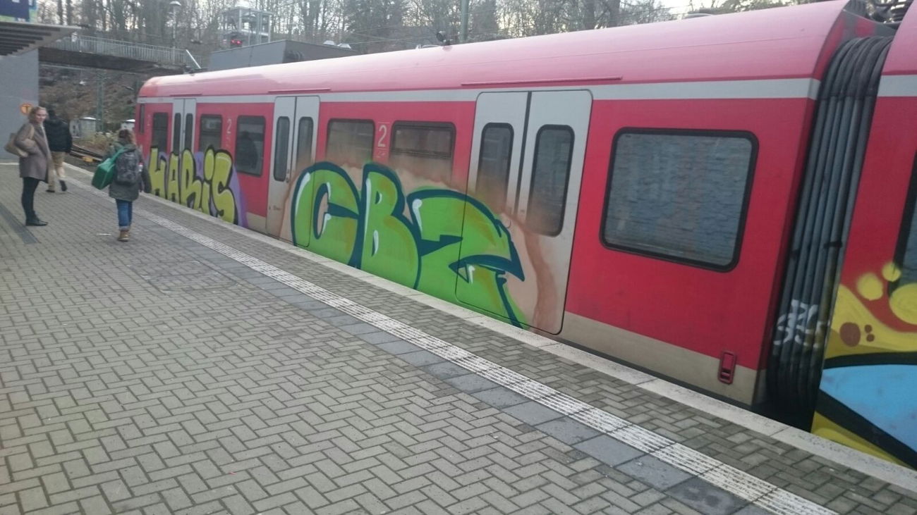 Graffiti Train - Photo by gartenzwerg - haris, cbz