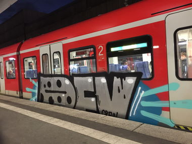Graffiti Train - Photo by gartenzwerg - DFV