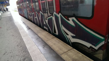Graffiti Train - Photo by gartenzwerg - wau