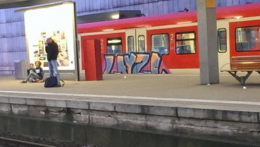 Graffiti Train - Photo by gartenzwerg - layze