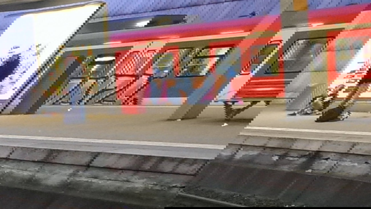 Graffiti Train - Photo by gartenzwerg - layze