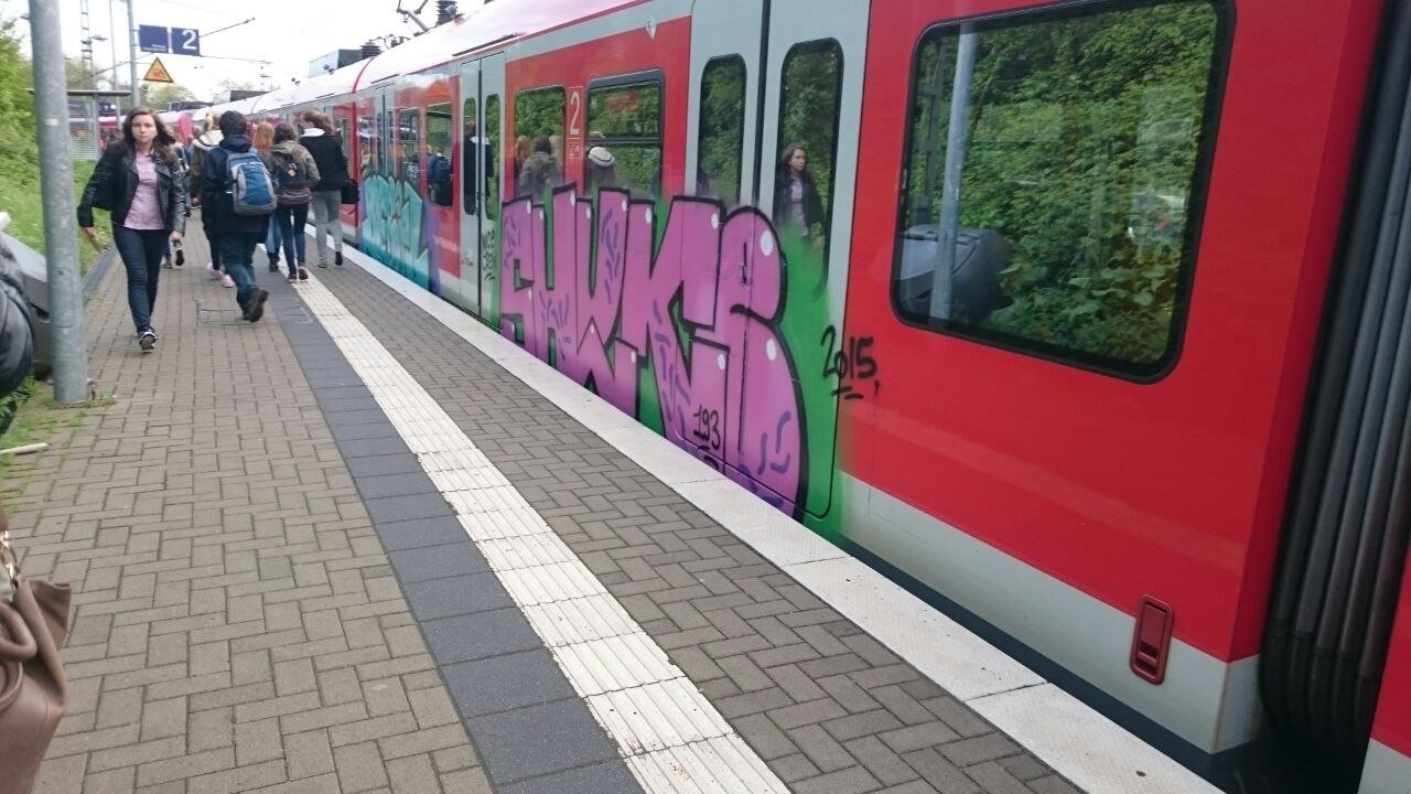 Graffiti Train - Photo by gartenzwerg - shuke