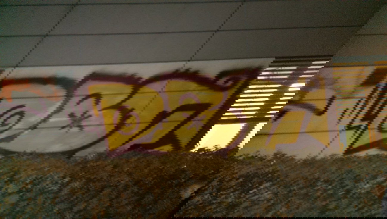 Graffiti Bombing - Photo by gartenzwerg - dbf