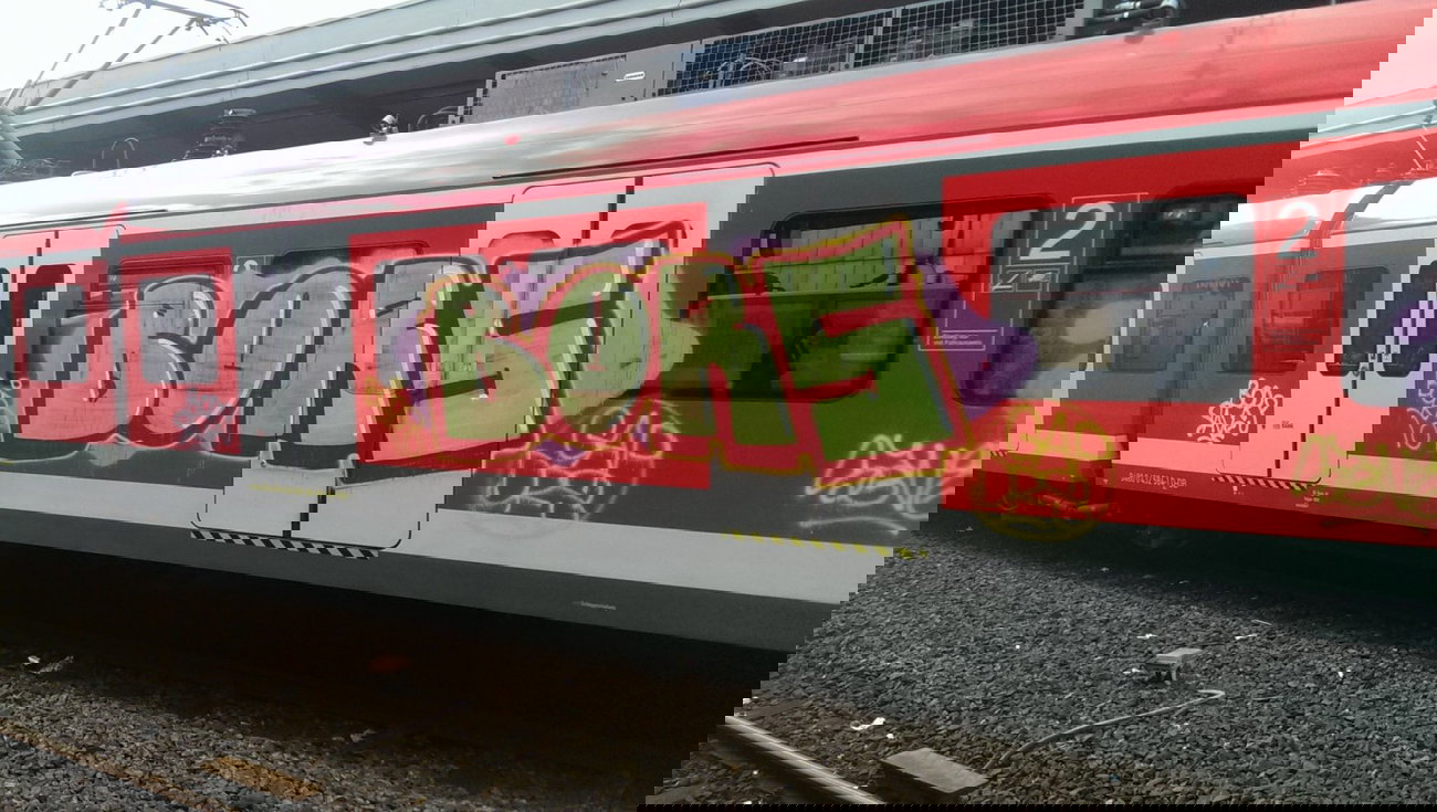 Graffiti Train - Photo by gartenzwerg - bors