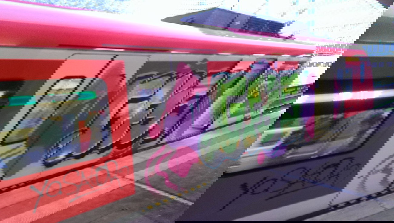 Graffiti Train - Photo by gartenzwerg - gfos