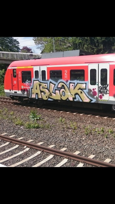 Graffiti Train - Photo by gartenzwerg - aslak