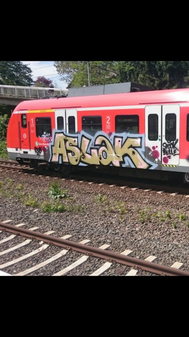 Graffiti Train - Photo by gartenzwerg - aslak