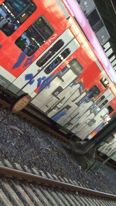 Graffiti Train - Photo by gartenzwerg - zak, ams