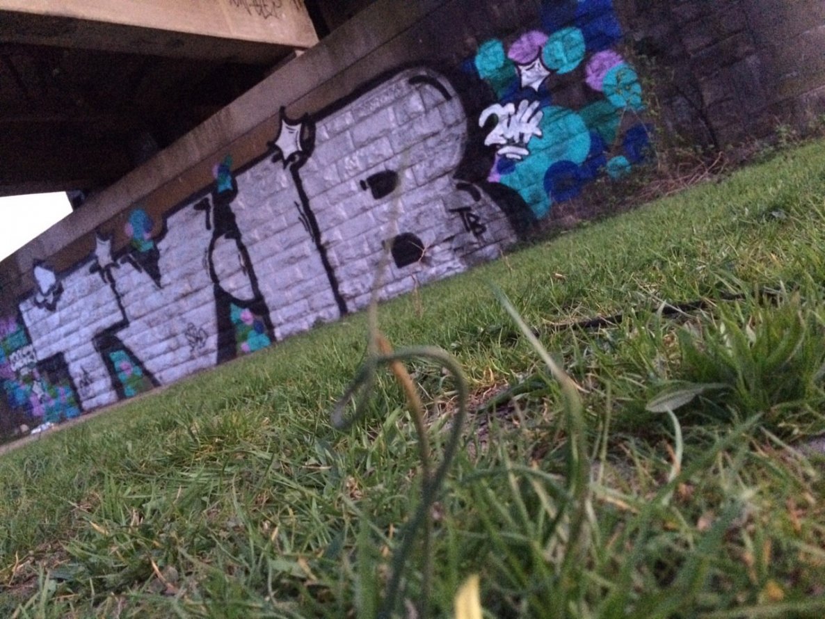 Graffiti Bombing - Photo by gartenzwerg - tv, ib