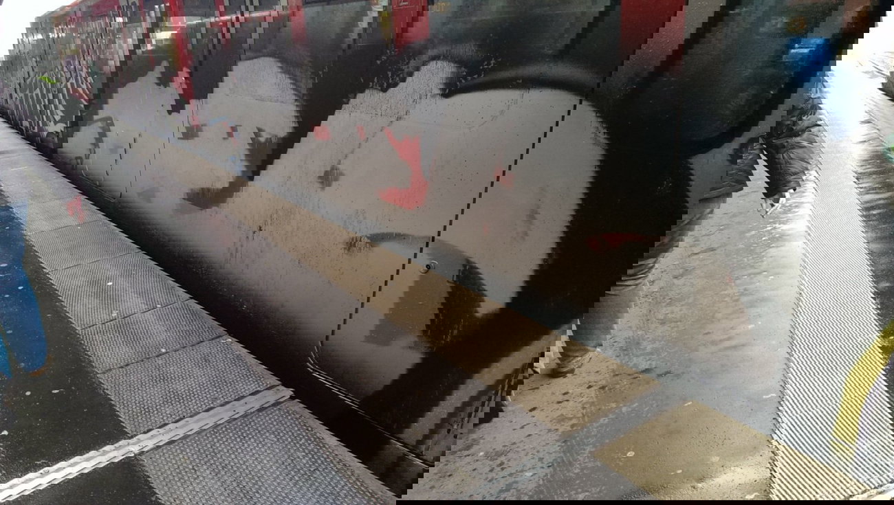 Graffiti Train - Photo by gartenzwerg - fye