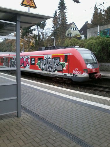 Graffiti Train - Photo by gartenzwerg - risk, s6