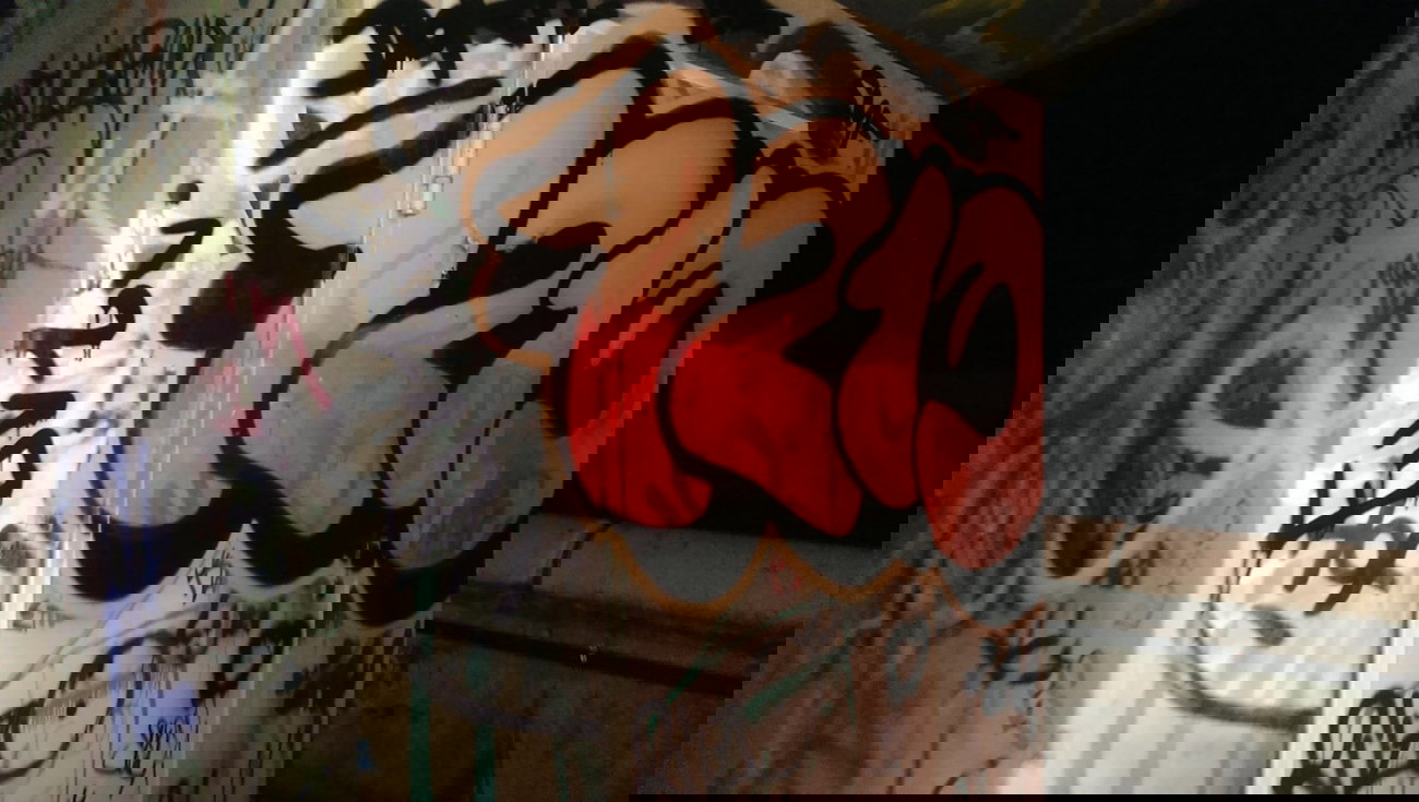 Graffiti Bombing - Photo by gartenzwerg - 1213