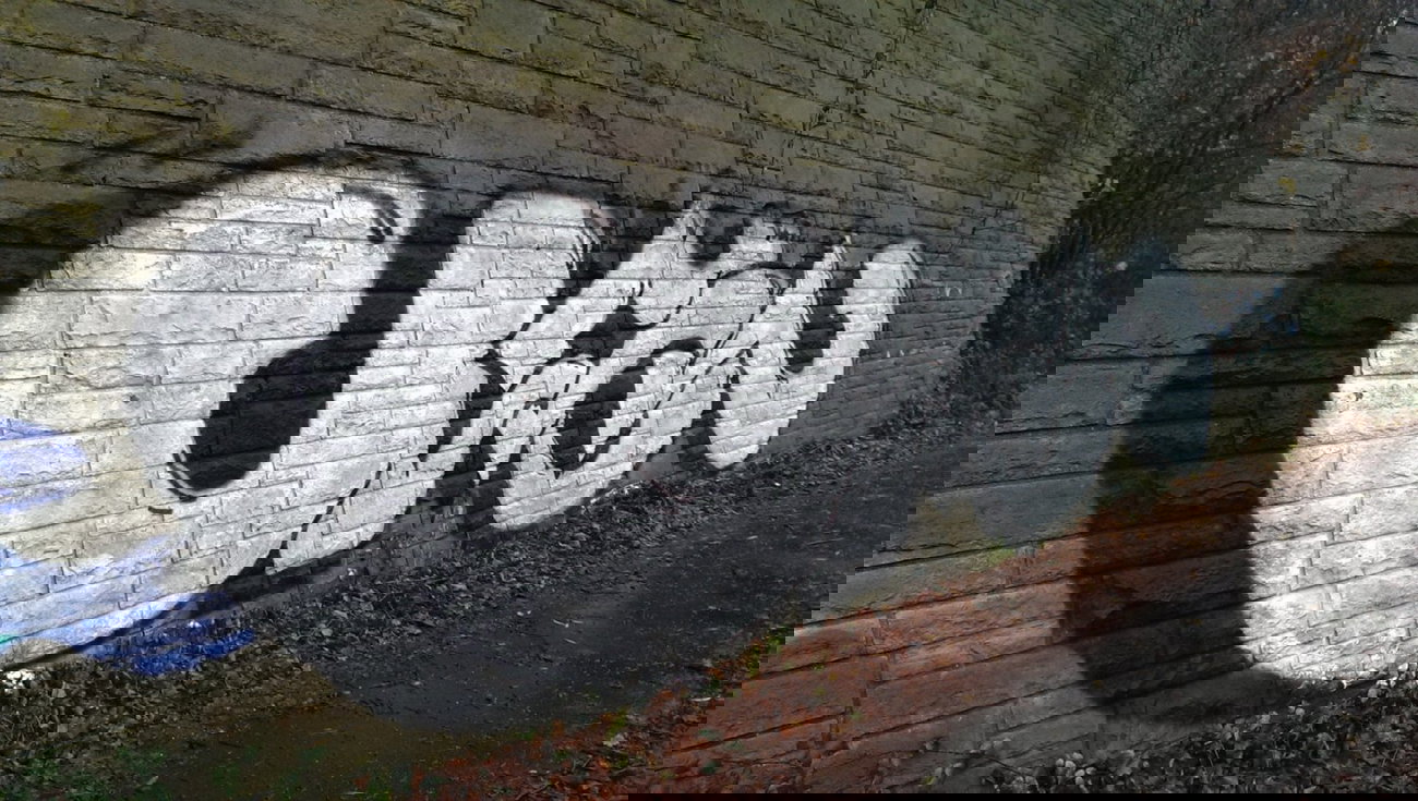 Graffiti Bombing - Photo by gartenzwerg - usw