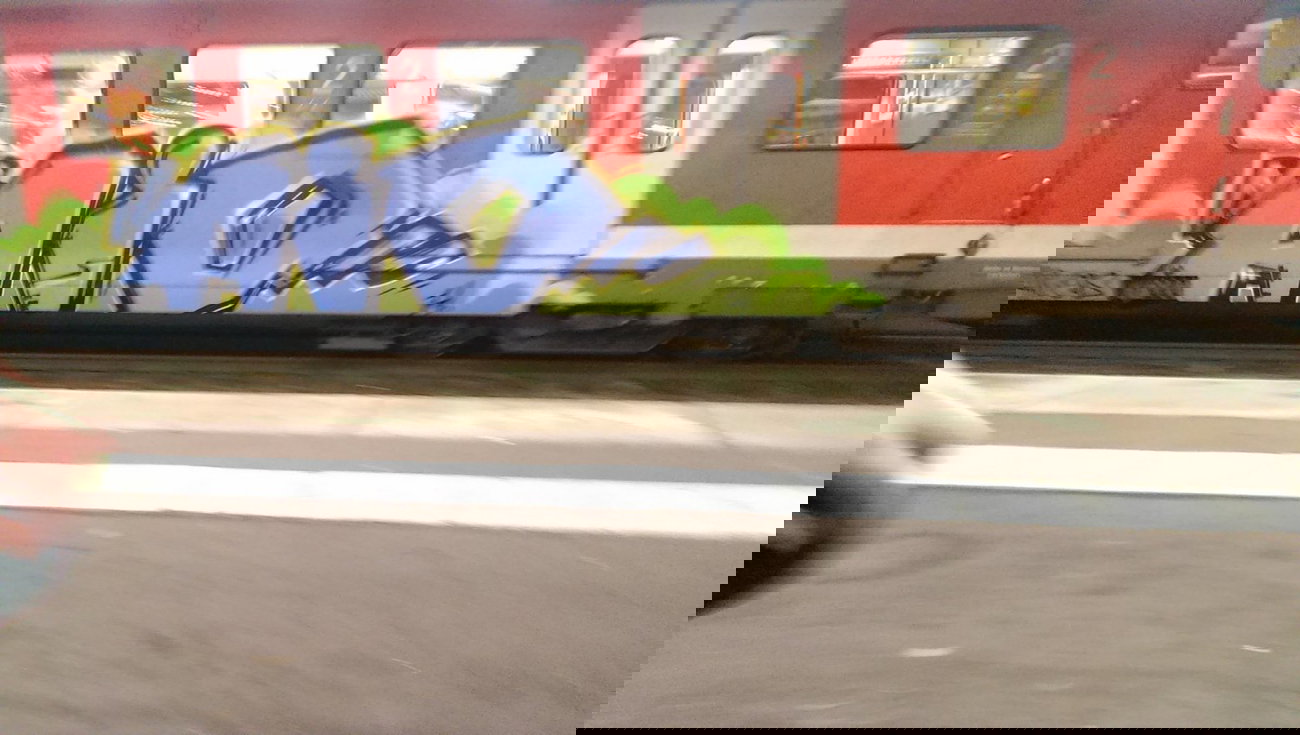 Graffiti Train - Photo by gartenzwerg - aio