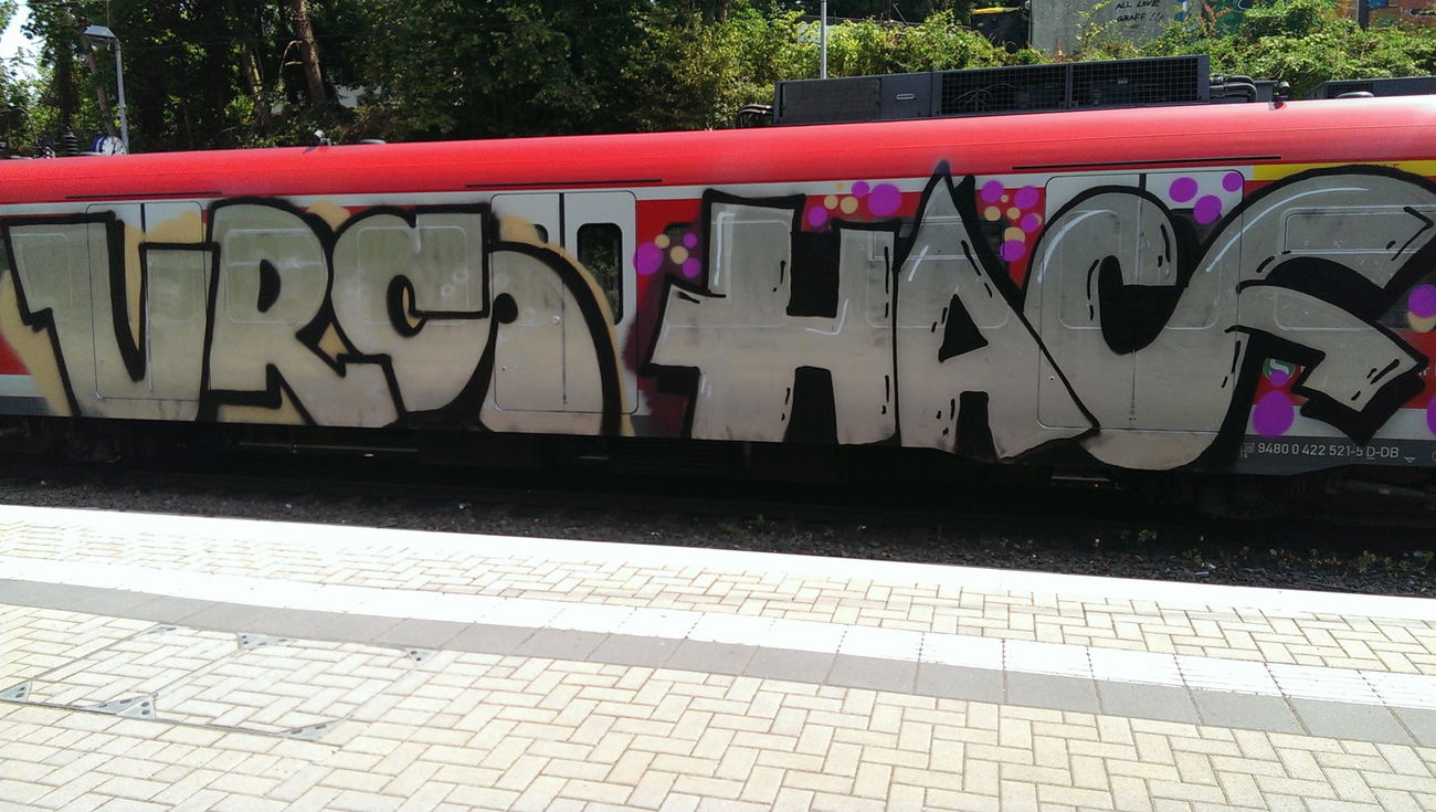 Graffiti Train - Photo by gartenzwerg - vrs, hacf, s6