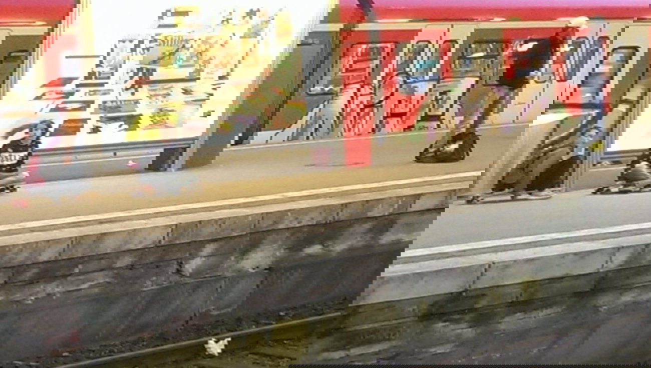 Graffiti Train - Photo by gartenzwerg - nice