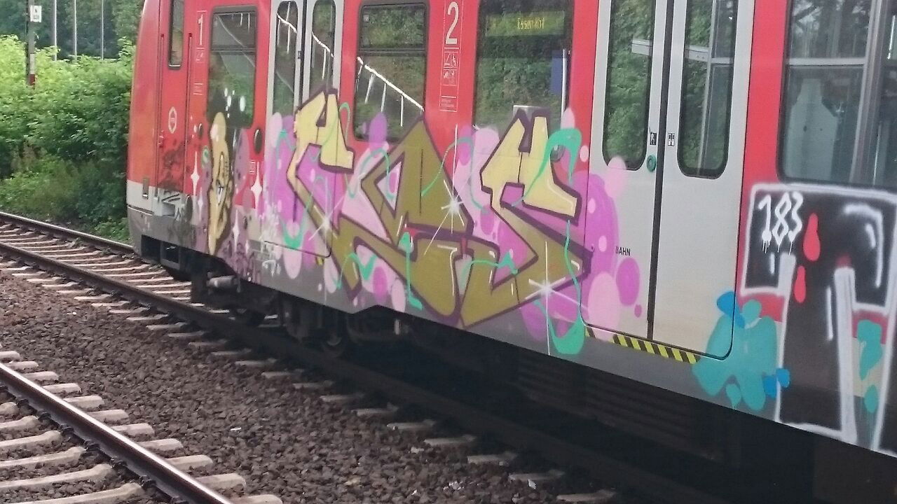 Graffiti Train - Photo by gartenzwerg - cos