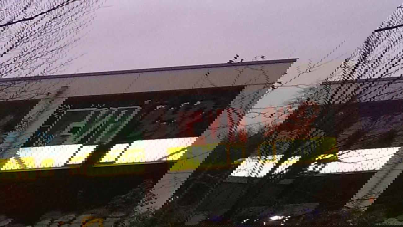 Graffiti Bombing in Essen - Photo by gartenzwerg - cva, lyp