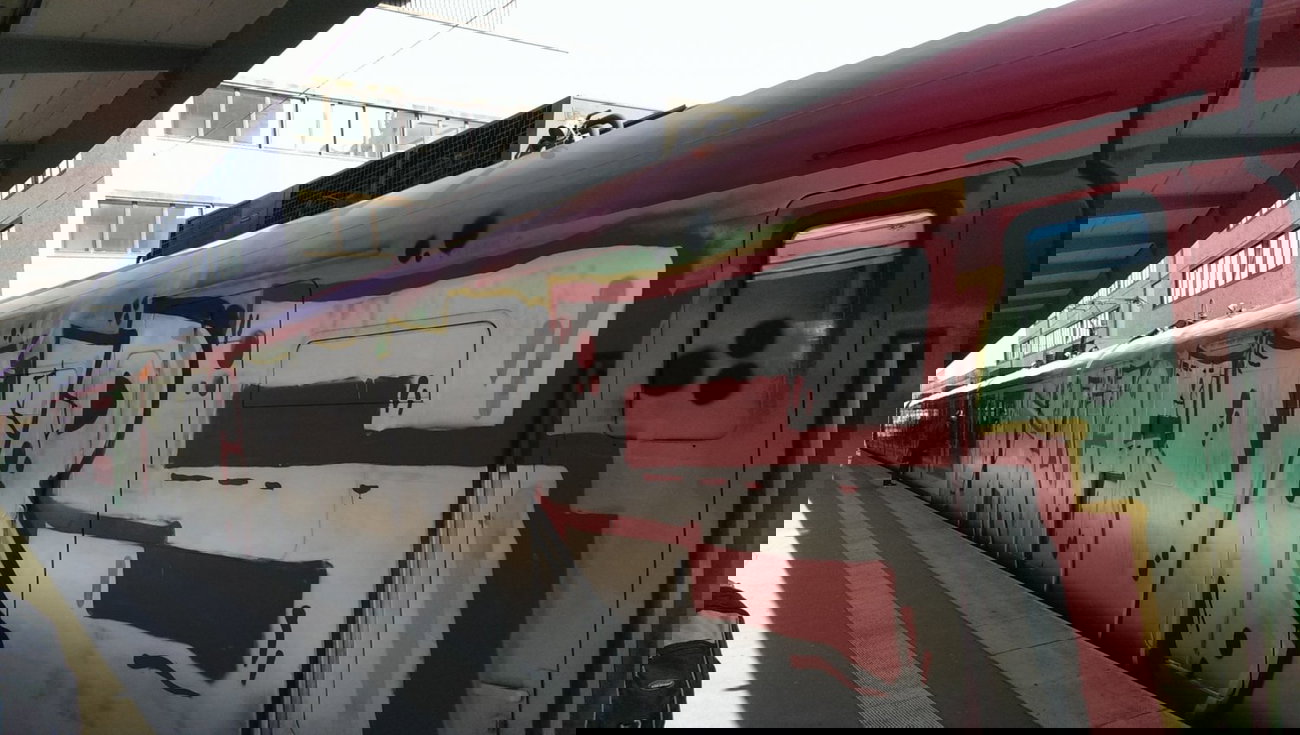 Graffiti Train - Photo by gartenzwerg - HACF!VRS, HACF, VRS