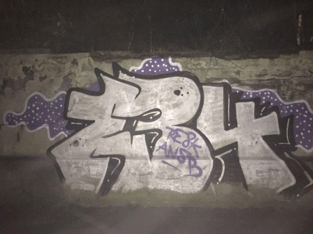 Graffiti Train - Photo by gartenzwerg - 134, RESK