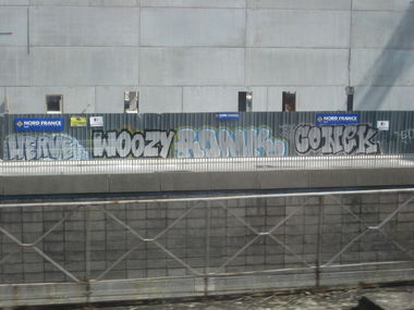 Graffiti Bombing - Photo by gartenzwerg - Herve, Woozy, Ronk