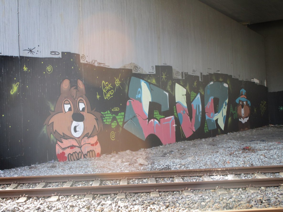 Graffiti Bombing - Photo by gartenzwerg - cva