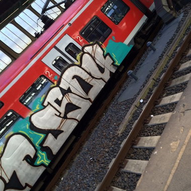 Graffiti Train - Photo by gartenzwerg - jsdu
