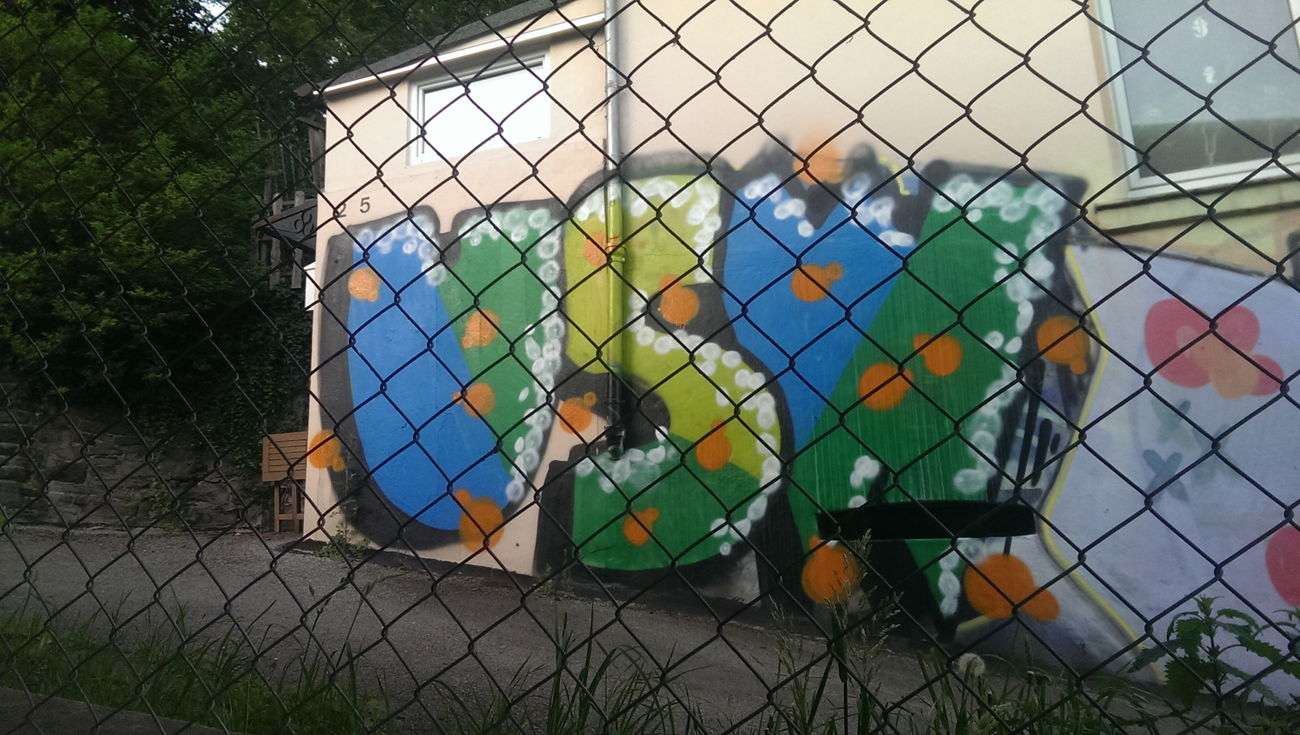 Graffiti Bombing - Photo by gartenzwerg - usw