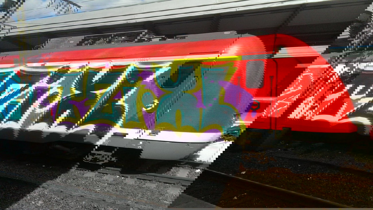 Graffiti Train - Photo by gartenzwerg - tzi, xl