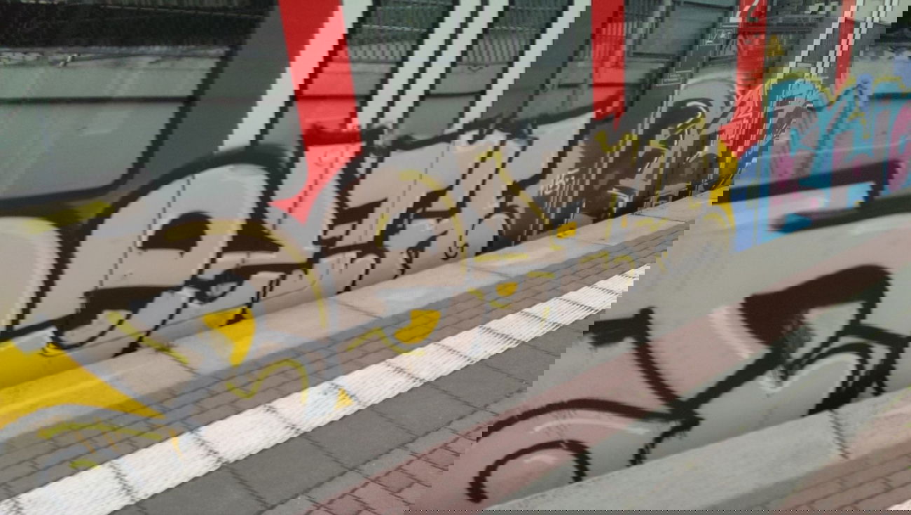 Graffiti Train - Photo by gartenzwerg - dezta