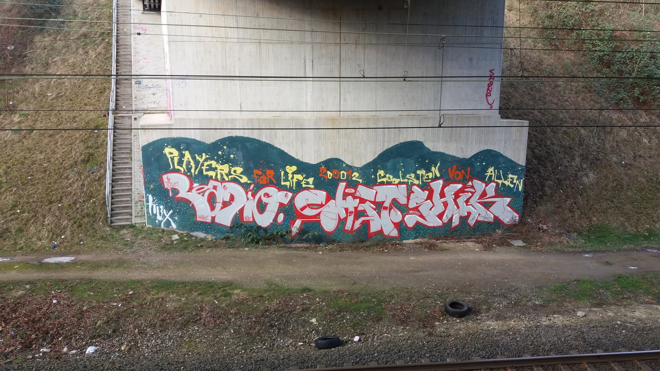 Graffiti Photo by gartenzwerg - Radio, Shet, Shik