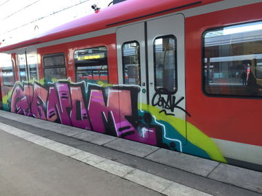 Graffiti Train - Photo by gartenzwerg - genom