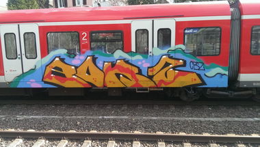 Graffiti Train - Photo by gartenzwerg - bokz, cbz