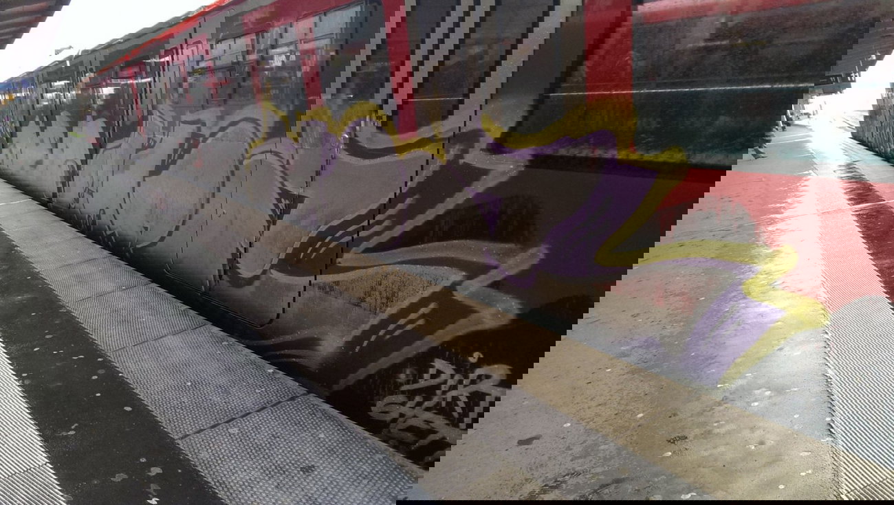 Graffiti Train - Photo by gartenzwerg - cops