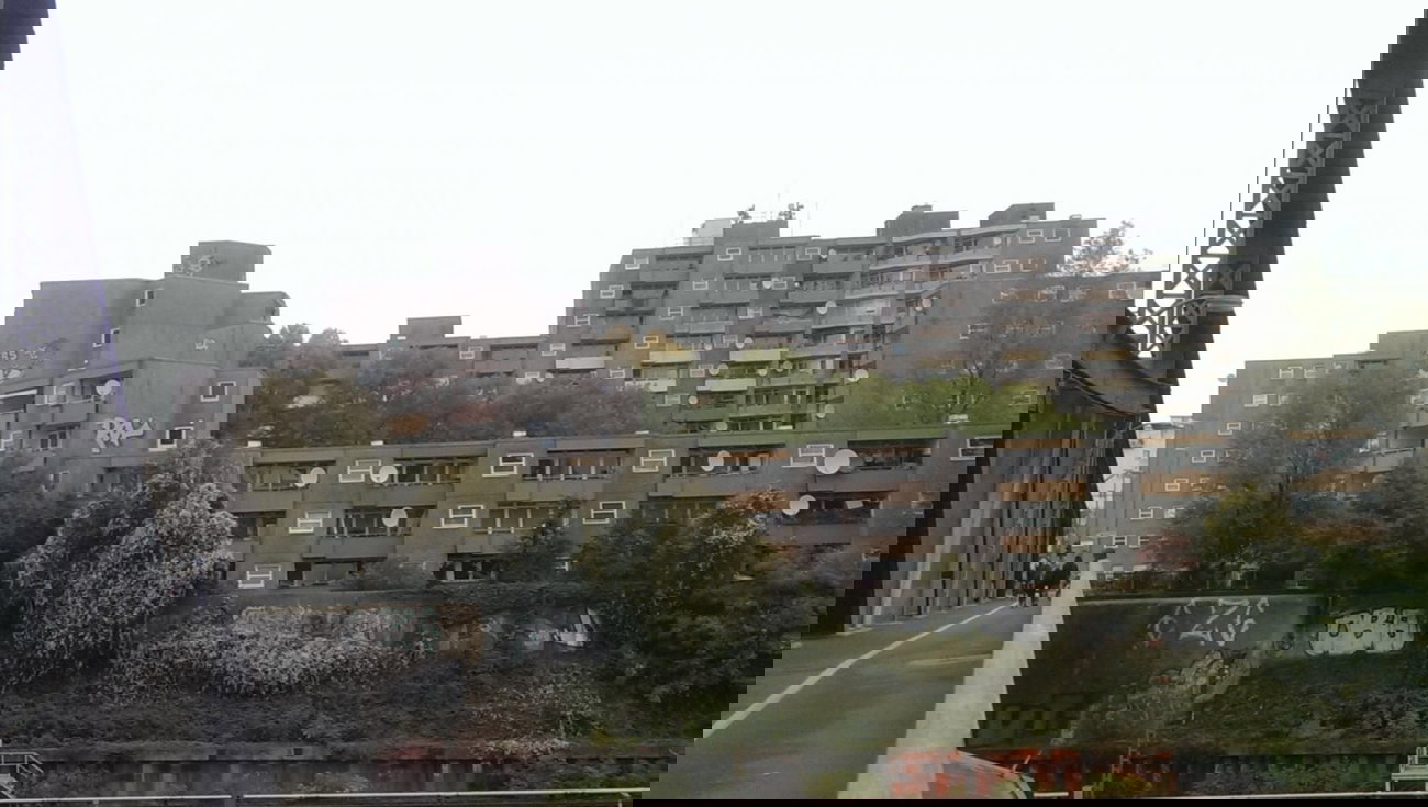 Graffiti Bombing in Berlin - Photo by gartenzwerg - roy, roy, roy