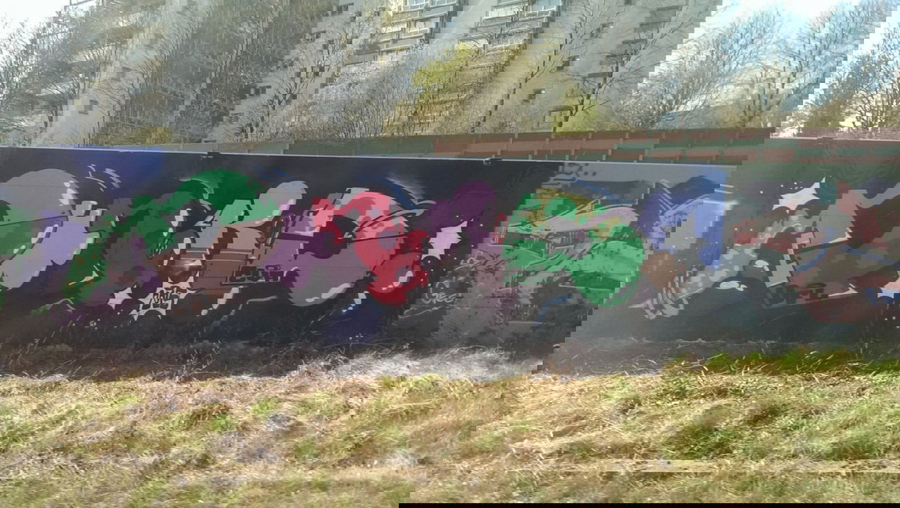 Graffiti Bombing - Photo by gartenzwerg - punk, D