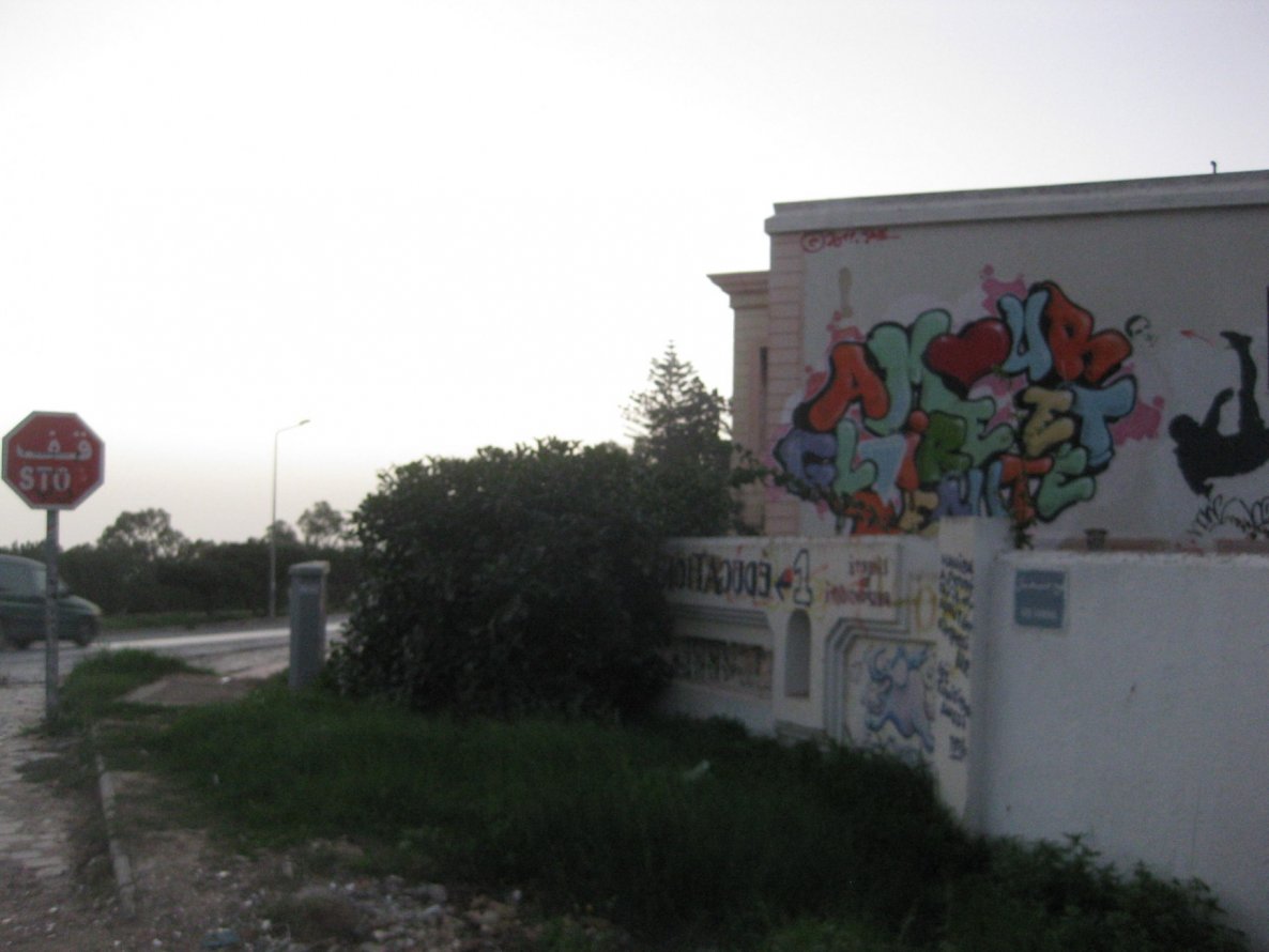 Graffiti Bombing in Tunis - Photo by gartenzwerg