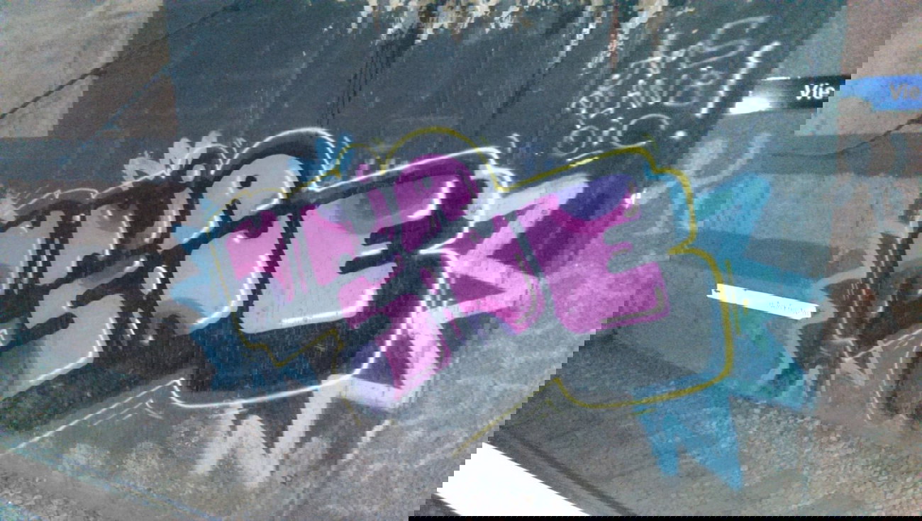 Graffiti Bombing - Photo by gartenzwerg - ninja, sine