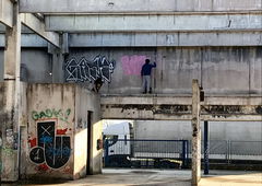 Photo #231715 by Vred