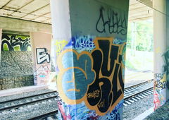 Photo #223279 by UNCNT