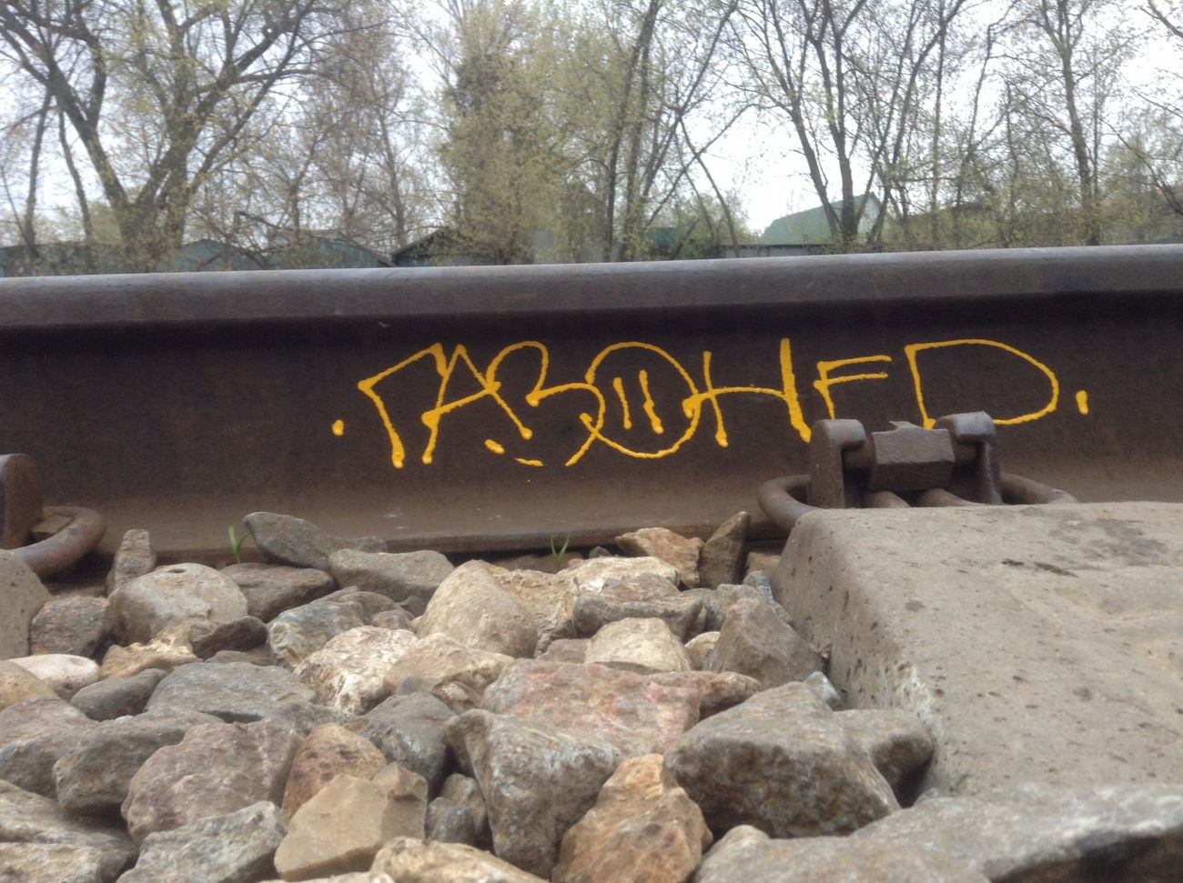 Graffiti Bombing - Photo by gazon1