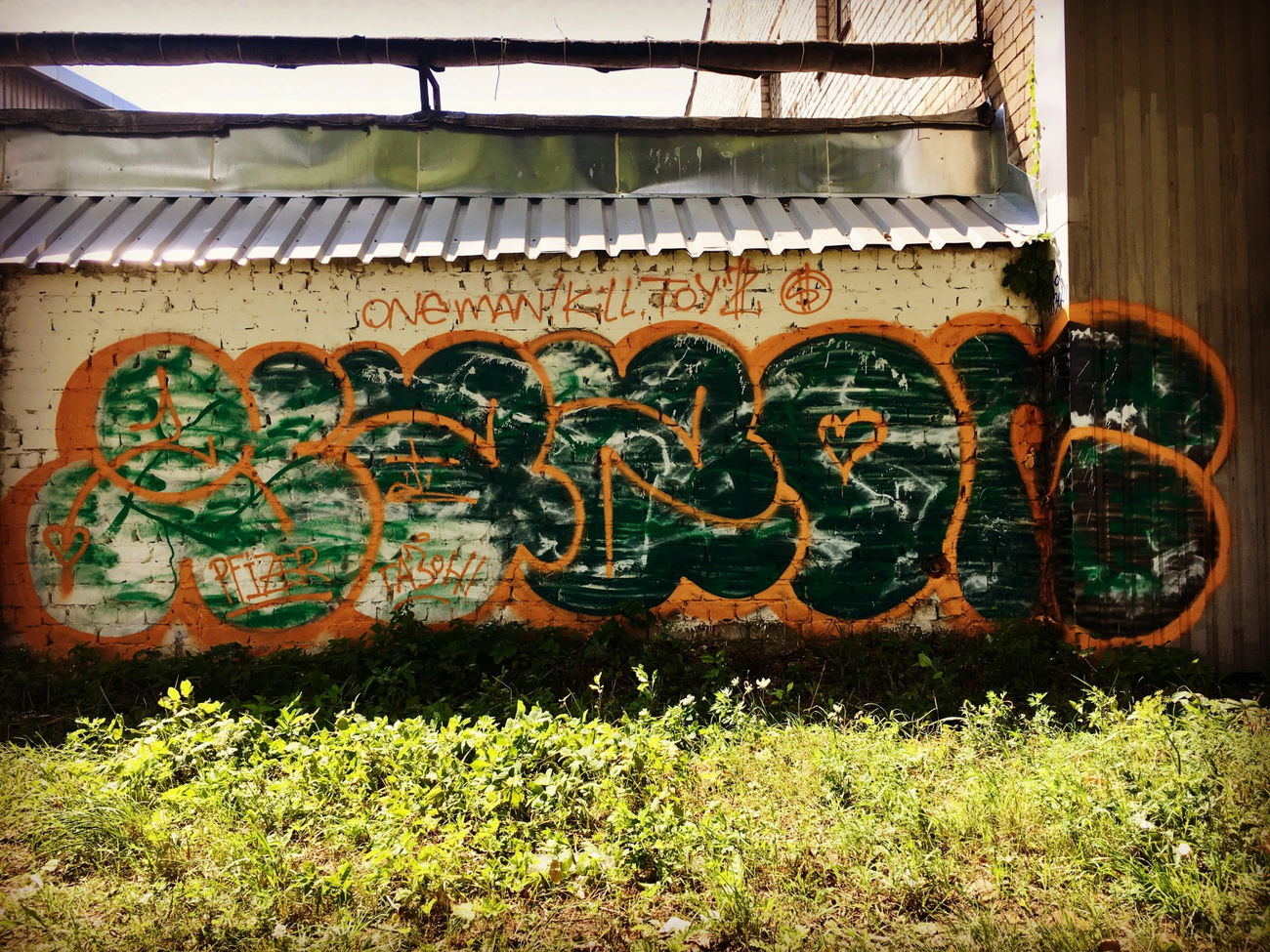 Graffiti Bombing - Photo by gazon1