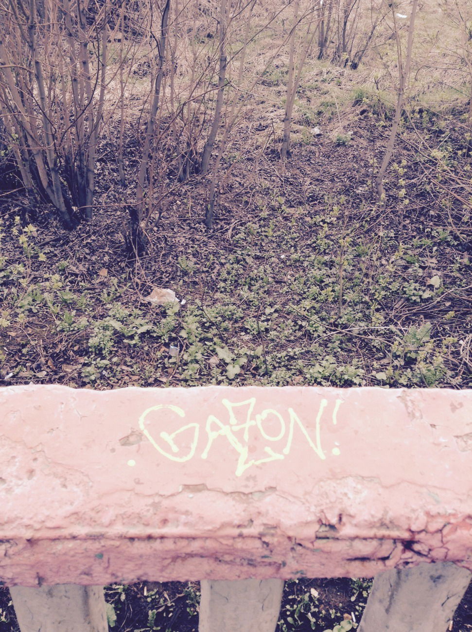 Graffiti Bombing - Photo by gazon1