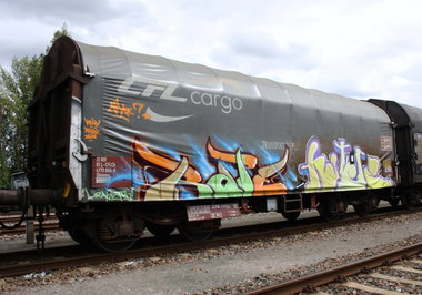 Graffiti Train - Photo by geracity (2012)