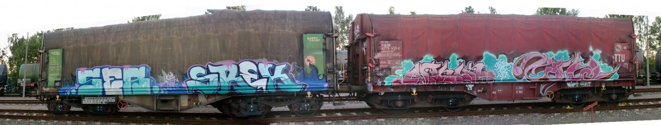 Graffiti Train in Gera - Photo by geracity - Ser, Srek, Aphok (2011)