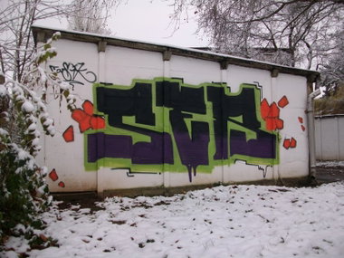 Graffiti Bombing - Photo by geracity - Ser (2009)